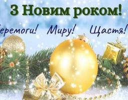 Привітання з Новим роком голови Щастинської райдержадміністрації Тетяни Новикової