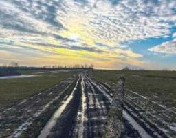 Протягом чотирьох днів до відкриття дільниць в «лнр» триватиме виїзне голосування, за відновлення електропостачання в Довжанську вимагають гроші, до звільненого Невського доправили ліки та паливо