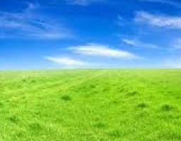 ВІДПОВІДАЛЬНІСТЬ ЗА САМОВІЛЬНЕ ЗАЙНЯТТЯ ЗЕМЕЛЬНОЇ ДІЛЯНКИ