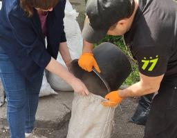 В День довкілля працівники Щастинської РДА-РВА вже 2 рік поспіль долучаються до благоустрою території біля будівлі Координаційного центру допомоги ВПО з Луганської області в м. Кропивницький