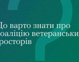 Що варто знати про Коаліцію ветеранських просторів