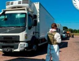 За результатами репатріаційних заходів в Україну повернули тіла 250 полеглих оборонців