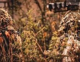 У Лисичанську школярів агітують підписувати контракт з армією рф, декілька вулиць Сокологірська (Первомайська) охопили пожежі, по Новоєгорівці окупанти вдарили ракетами