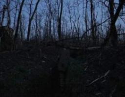 Із 1 січня охоронці в школах окупованої Луганщини будуть мати вогнепальну зброю, не хочуть їхати – росіяни збільшать стимулюючі виплати вчителям за роботу в селах «лнр», ворог атакує поблизу Греківки та Макіївки