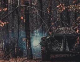 Посилять міграцію – в «лнр» надаватимуть землю військовим із віддалених регіонів рф, у Новодружеську демонтують електричні підстанції – місто третій рік без світла, ворог завдав авіаційного удару на Луганщині