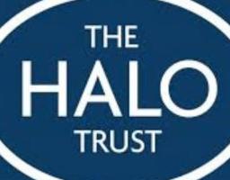 Міжнародна організація The Halo Trust проводить набір на навчання з  подальшим працевлаштуванням на посаду демінер(ка)
