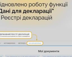 Відновлено роботу функції “Дані для декларації” в Реєстрі декларацій