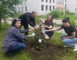 Працівники Щастинської райдержадміністрації висадили дерево в память загиблих дітей