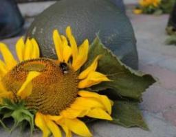 Сьогодні - День пам'яті захисників України, які загинули в боротьбі за незалежність, суверенітет і територіальну цілісність України