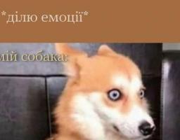 Я ділю емоції...