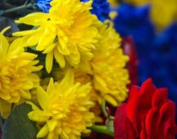 Звернення в. о. голови Новоайдарської райдержадміністрації та голови районної ради з нагоди Дня звільнення України від фашистських загарбників та 75-ї річниці вигнання нацистів з України