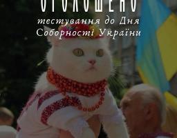 білий пухнастий кіт, одягнений у стилізовану українську вишиванку та намисто, знаходиться на руках у людини під час Національного фестивалю «Код нації», який оголосив тестування до Дня Соборності України.
