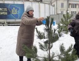 Жінка в подовженому коричневому пуховику та сірій в'язаній шапці розвішує на невелику сосну синіх та білих паперових ангелів. Ці фігурки є символом акції «Ангели пам'яті», яка традиційно проводиться в Україні до Дня Героїв Небесної Сотні (20 лютого)