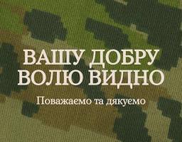 На цифровому плакаті, стилізованому під камуфляжний піксельний принт, розміщено великий напис «ВАШУ ДОБРУ ВОЛЮ ВИДНО» з підписом «Поважаємо та дякуємо». У верхніх кутах міститься логотип програми ментального здоров’я «Ти як?», а внизу вказана дата — 14 березня, День українського добровольця