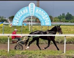 Відділ освіти культури молоді та спорту Широківської сільської військової адміністрації та Координаційний центр допомоги ВПО в м. Одеса запрошують бажаючих відвідати ОДЕСЬКИЙ ІПОДРОМ!