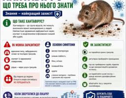 Інформаційний плакат ДУ «Київський міський ЦКПХ МОЗ» під великим синьо-зеленим заголовком «ХАНТАВІРУС – ЩО ТРЕБА ПРО НЬОГО ЗНАТИ» містить у верхній частині реалістичне зображення дикої миші на землі серед синіх графічних моделей вірусів, а нижня частина структурована на кольорові блоки з іконками, що детально описують шляхи зараження, основні симптоми, правила захисту та рекомендації щодо звернення до лікаря