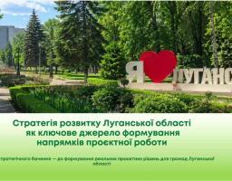 Скриншот онлайн-презентації Луганської обласної державної адміністрації, де ліворуч відображено слайд із заголовком «Стратегія розвитку Луганської області» та фотографією парку з мирного Луганська, а праворуч — вікна з учасниками відеоконференції