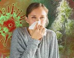 Чи є сезонна алергія протипоказом для вакцинації від COVID-19? 