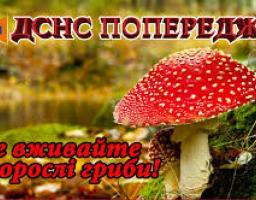  Рятувальники попереджають: обережно - отруєння грибами!