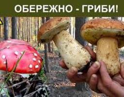 Для того, щоб уникнути отруєння дикорослими грибами,  виконуйте наступні рекомендації!!!