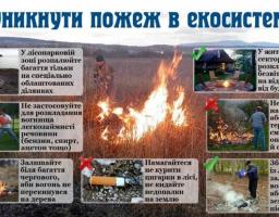 Рятувальники смт. Новоайдар застерігають: необережне поводження з вогнем є причиною масштабних пожеж!