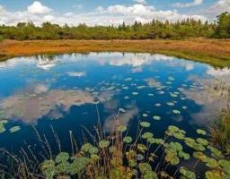 2 лютого у світі відзначається День водно-болотних угідь