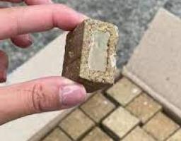 Пероральна вакцинація диких м’ясоїдних