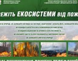 Пожежі в природних екосистемах