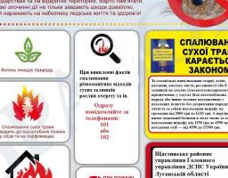 Шановні громадяни! Не провокуйте пожежі в природних екосистемах!