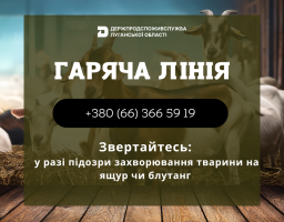 Є підозра, що тварина захворіла на ящур чи блутанг, – негайно повідомте на «гарячу лінію» Держпродспоживслужби Луганської області
