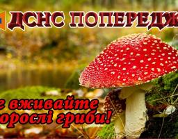 ОБЕРЕЖНО ГРИБИ!