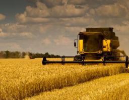 Про  підсумки збирання ранніх зернових та зернобобових культур врожаю 2017 року та сівбу озимих культур під врожай 2018 року в агроформуваннях та фермерських господарствах Новоайдарського району