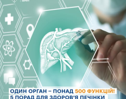 Печінка — це тихий герой нашого тіла, без якого організм просто не може функціонувати