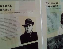 У Новоайдарському районі відбулась презентація пересувної банерної виставки проєкту «Проти Голіафа», «Свобода починається по той бік відчаю»
