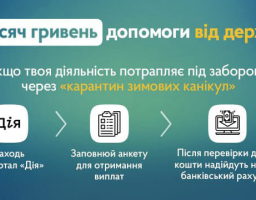 Заявки на отримання 8 тисяч гривень одноразової допомоги від держави ФОПам та найманим працівникам почав приймати портал «Дія»