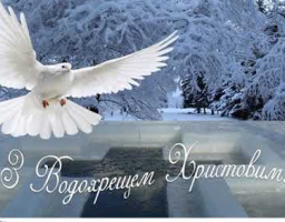 Шановні земляки!