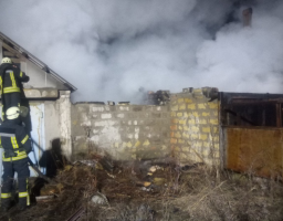 Щастинський район: рятувальники ліквідували пожежу у приватному секторі