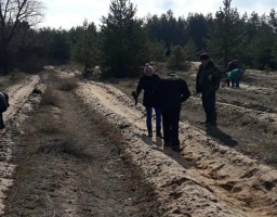 Лісівники Райгородського лісництва (в умовах карантинних заходів) продовжують весняні роботи з відновлення лісів