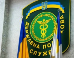В яких випадках декларант має право подати нову звітну одноразову (спеціальну) добровільну декларацію?