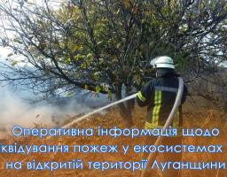 За минулу добу, 10 жовтня рятувальники Луганщини виїжджали 9 разів на ліквідацію пожеж у екосистемах, загоряння сміття та сухої трави на відкритій території, загальною площею 9,8 га.