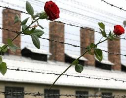 Міжнародний день визволення в’язнів фашистських таборів 
