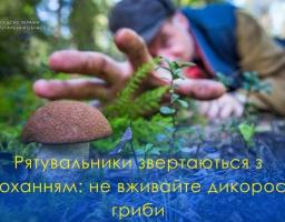Страви з присмаком небезпеки: рятувальники Луганщини закликають громадян не вживати дикорослі гриби