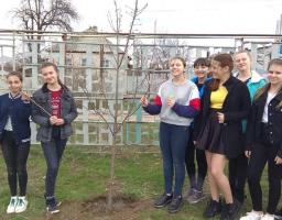 Символічна «Алея Миру» в Новоайдарському районі посаджена!