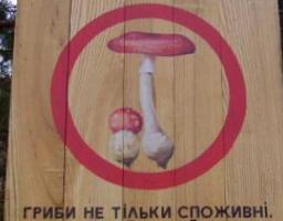Увага, гриби! Отруєння грибами небезпечне для життя