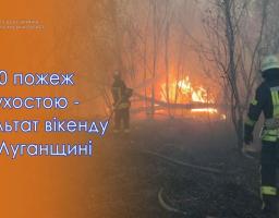 30 пожеж сухостою та чагарників лише за два дні! 