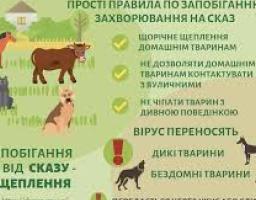 Відбулося чергове засідання Державної надзвичайної протиепізоотичної комісії при Щастинській районній державній адміністрації.