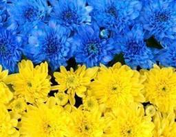Привітання керівництва району з нагоди Міжнародного дня музеїв