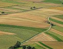 У Луганській області на земельні аукціони виставлено майже 130 га